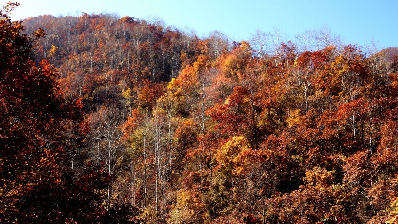 点击大图看下一张：甘肃兰州兴隆山秋季风景图片
