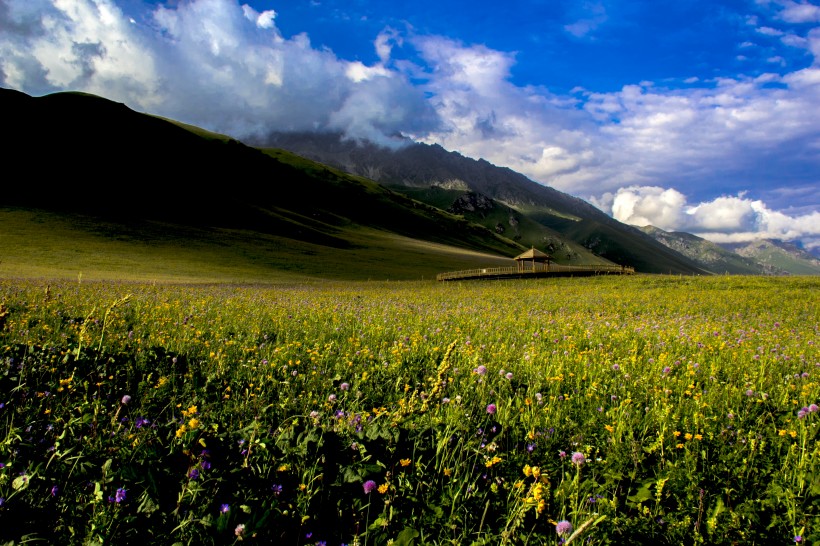点击大图看下一张：新疆班禅沟风景图片