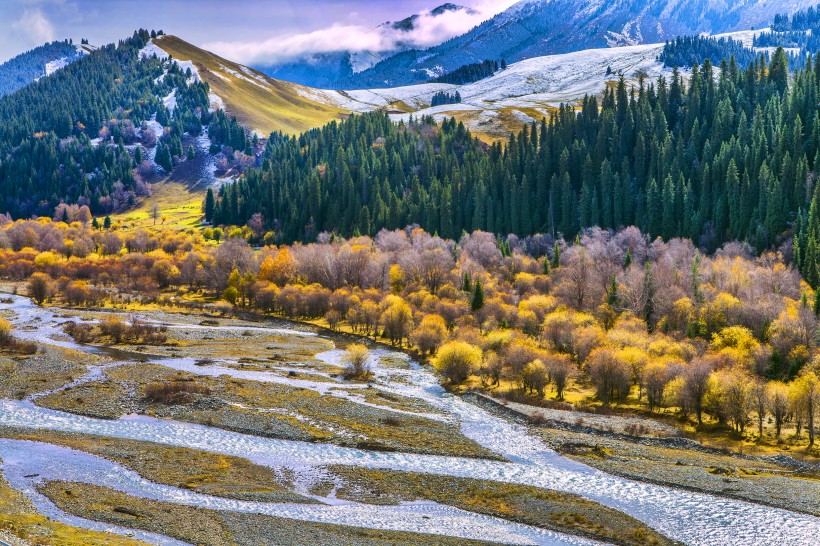 点击大图看下一张：新疆巩乃斯的秋色风景图片