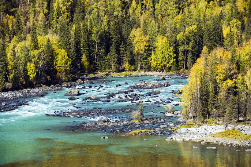点击大图看下一张:新疆喀纳斯卧龙湾风景图片