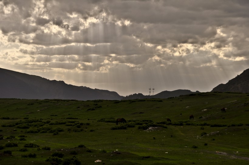 点击大图看下一张：新疆牧场晨曦风景图片