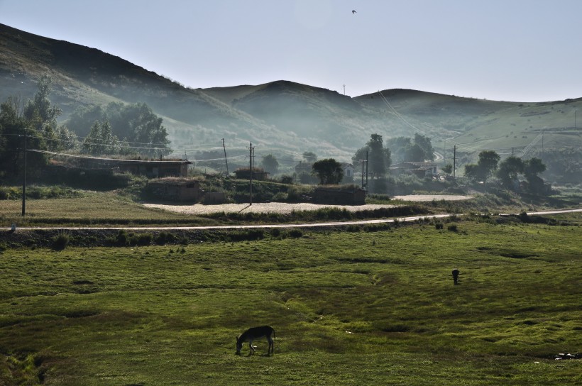点击大图看下一张：新疆牧场晨曦风景图片