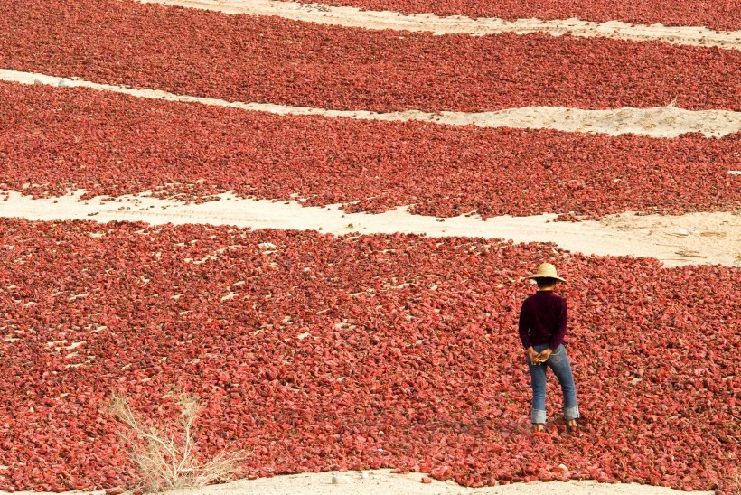 点击大图看下一张：新疆人文图片