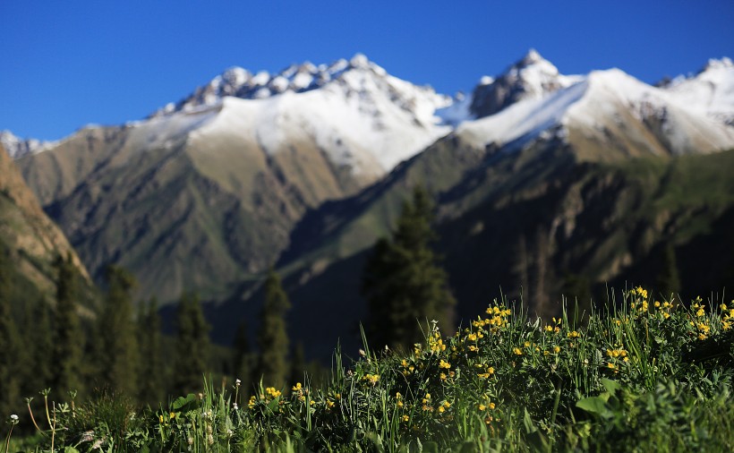 点击大图看下一张：新疆夏塔古道风景图片
