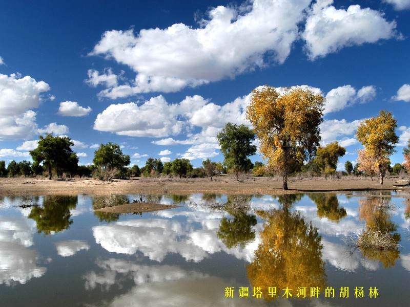 点击大图看下一张：新疆风貌图片
