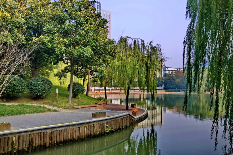 点击大图看下一张：上海新金桥公园风景图片