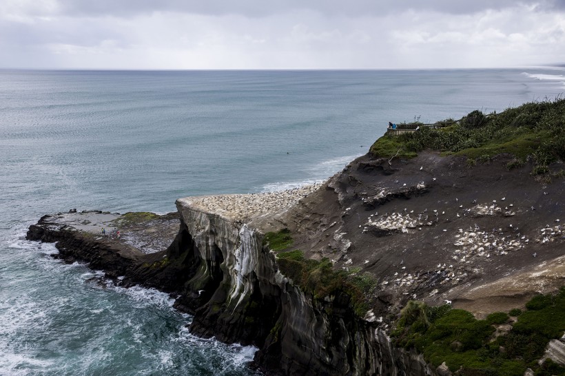 点击大图看下一张：新西兰鸟岛风景图片