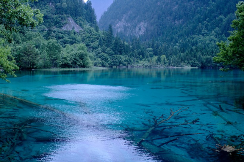 点击大图看下一张：四川九寨熊猫海风景图片