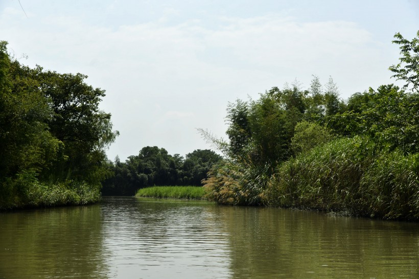 点击大图看下一张：杭州西溪国家湿地公园风景图片