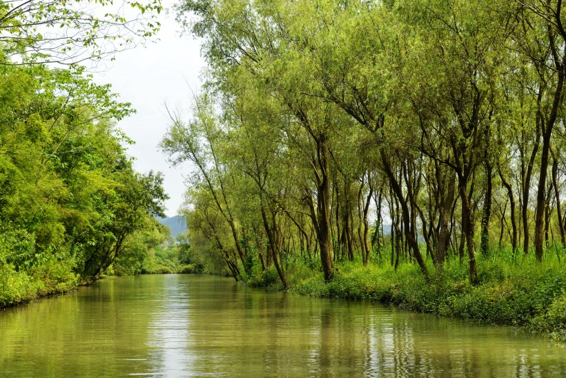 点击大图看下一张：杭州西溪国家湿地公园风景图片