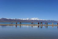 西藏风景图片_20张