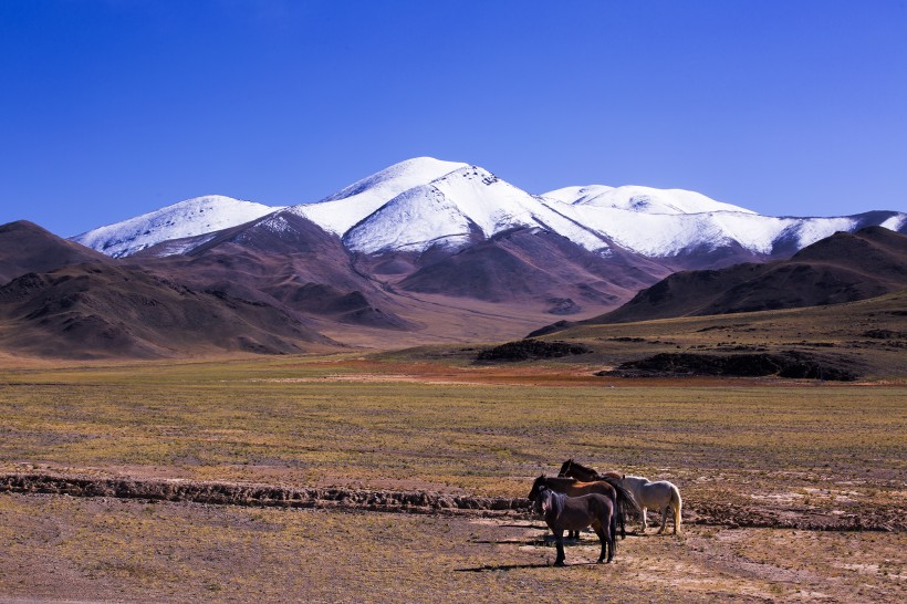 点击大图看下一张：西藏阿里改则风景图片