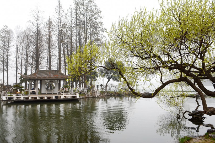 点击大图看下一张：南京玄武湖公园风景图片