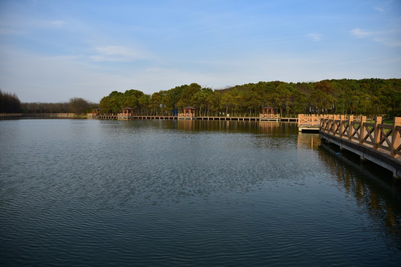 点击大图看下一张：上海松江雪狼湖生态园风景图片
