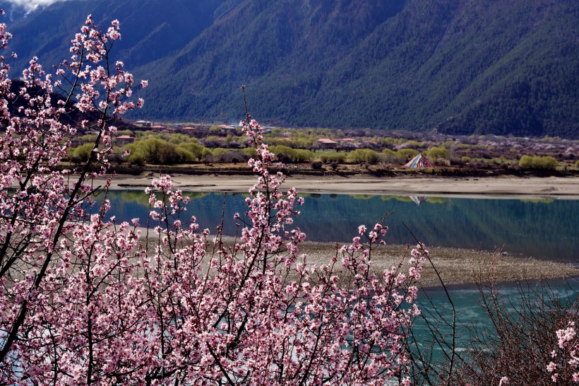 点击大图看下一张：西藏林芝雅江风景图片