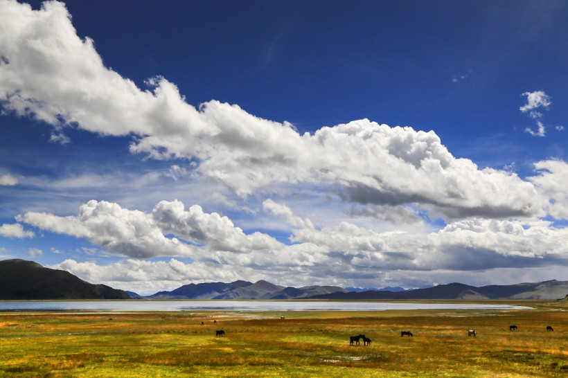 点击大图看下一张：西藏羊卓雍措风景图片