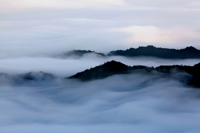 点击大图看下一张：雾锁阳明山风景图片