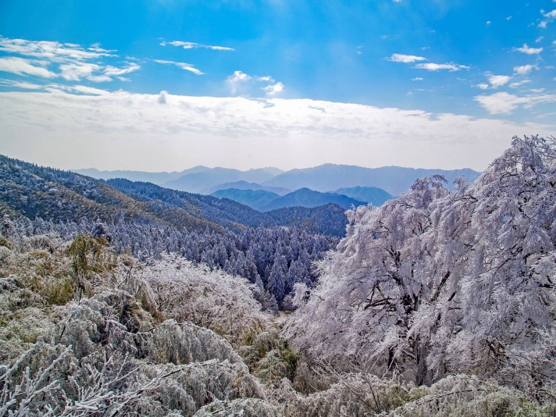 点击大图看下一张：湖南阳明山国家森林公园风景图片