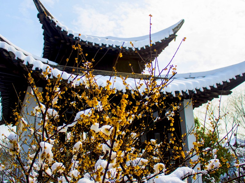 点击大图看下一张：扬州雪景图片