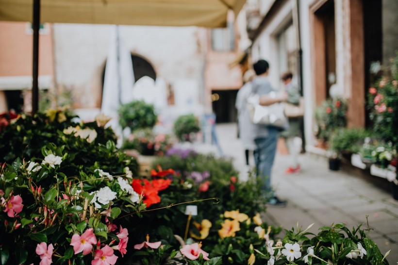 点击大图看下一张：意大利的花店图片