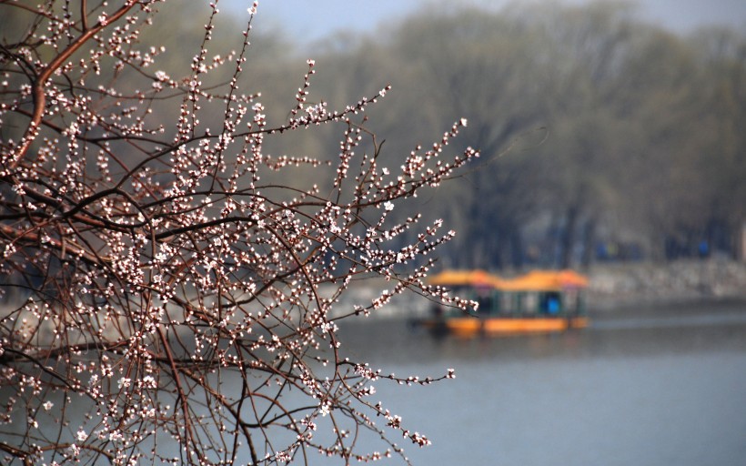 点击大图看下一张：颐和园风景图片