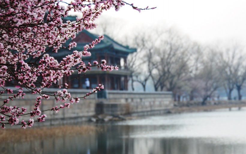 点击大图看下一张:颐和园风景图片