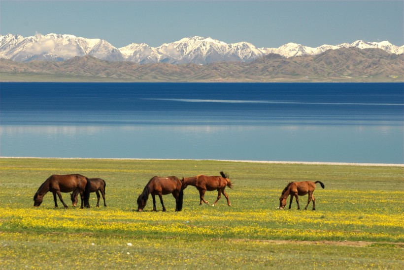 点击大图看下一张：新疆伊犁风景图片