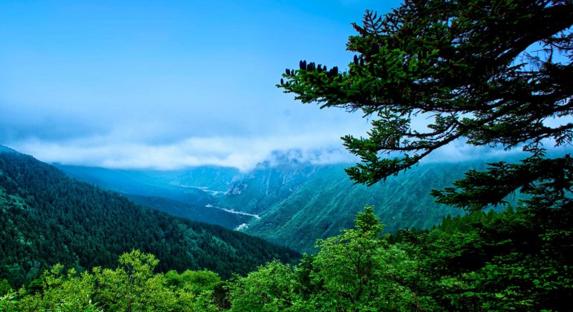 点击大图看下一张：四川黄龙迎宾池风景图片