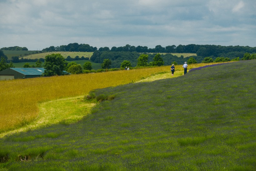 点击大图看下一张：英国英格兰乡村风景图片