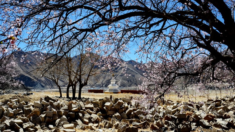 点击大图看下一张：西藏雍仲林寺风景图片