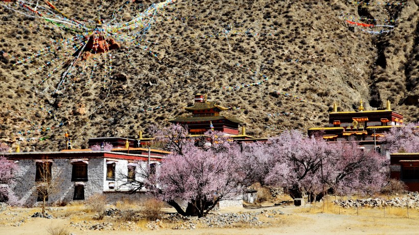 点击大图看下一张：西藏雍仲林寺风景图片