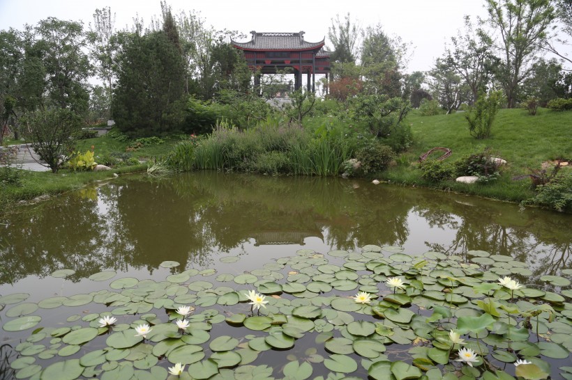 点击大图看下一张：广东深圳园博园风景图片