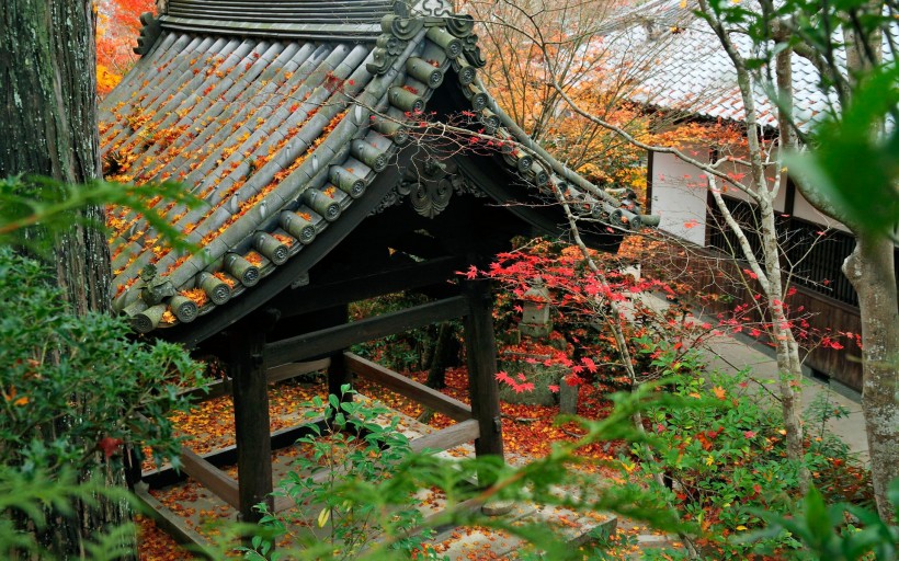 点击大图看下一张：京都圆光寺图片