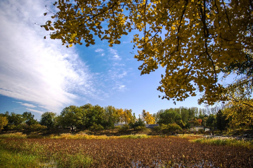 点击大图看下一张：北京圆明园秋景图片