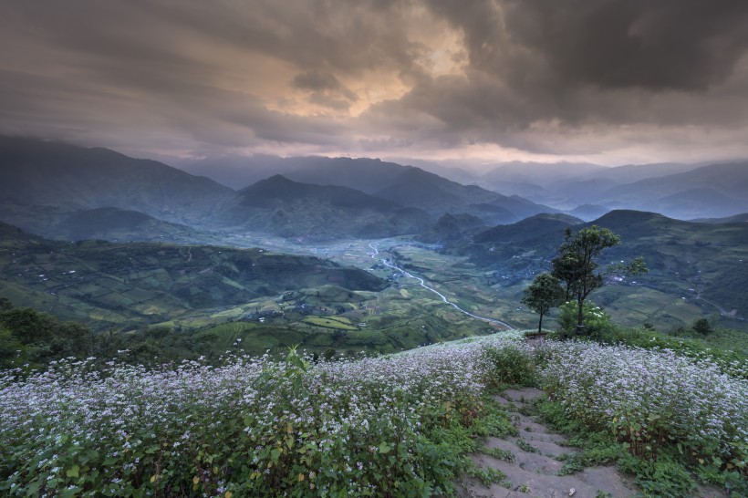 点击大图看下一张：越南稻田风景图片