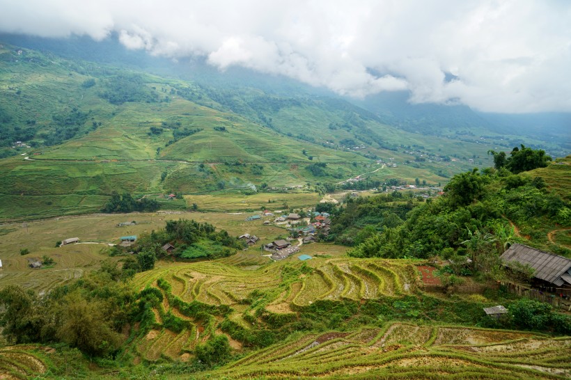 点击大图看下一张：越南山地梯田风景图片