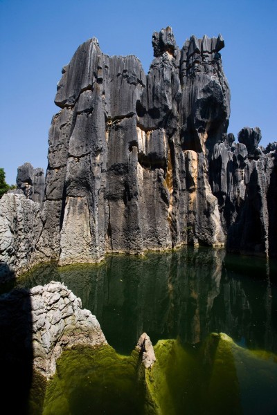 点击大图看下一张:云南石林风光图片