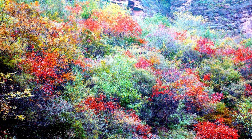 点击大图看下一张：广西桂林云台山风景图片