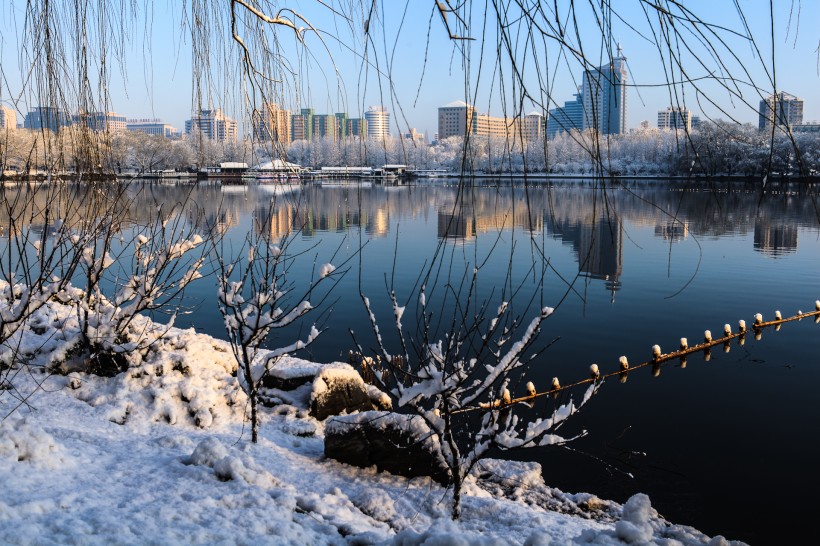 点击大图看下一张：北京玉渊潭雪景图片