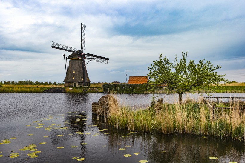 点击大图看下一张：荷兰风车村风景图片