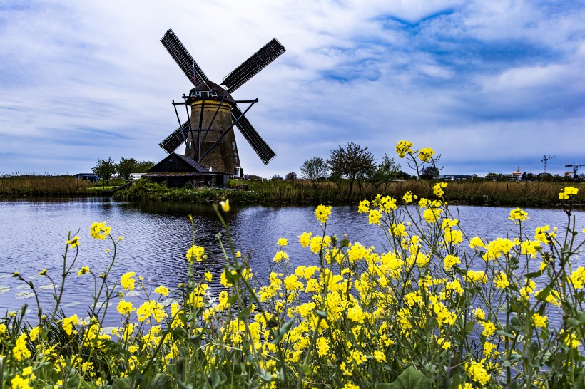 点击大图看下一张：荷兰桑斯安斯风车村风景图片