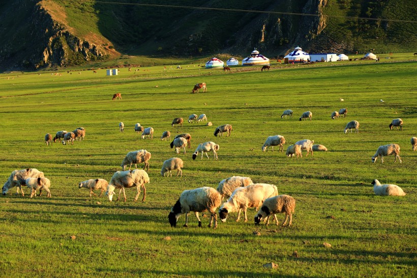 点击大图看下一张：内蒙古扎鲁特风景图片