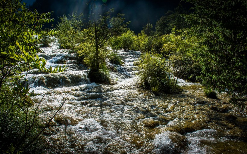 点击大图看下一张：四川九寨沟珍珠滩瀑布图片