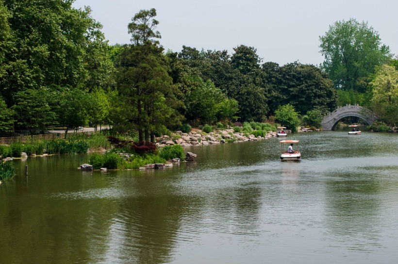 点击大图看下一张：上海植物园风景图片