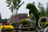 上海植物园风景图片_10张