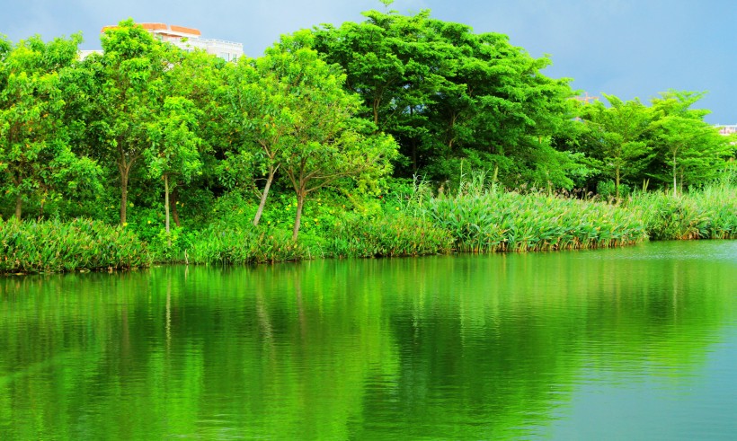 点击大图看下一张：广东湛江中澳友谊花园风景图片