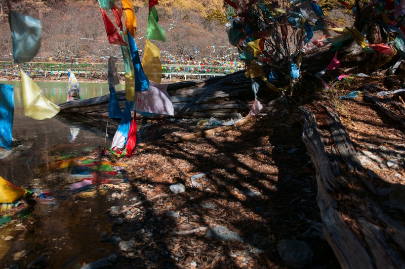 点击大图看下一张：西藏卓玛拉措风景图片