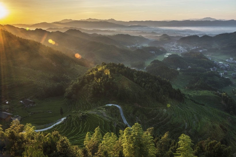 点击大图看下一张：湖南紫鹊界梯田风景图片