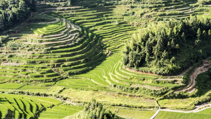 点击大图看下一张：湖南紫鹊界梯田风景图片