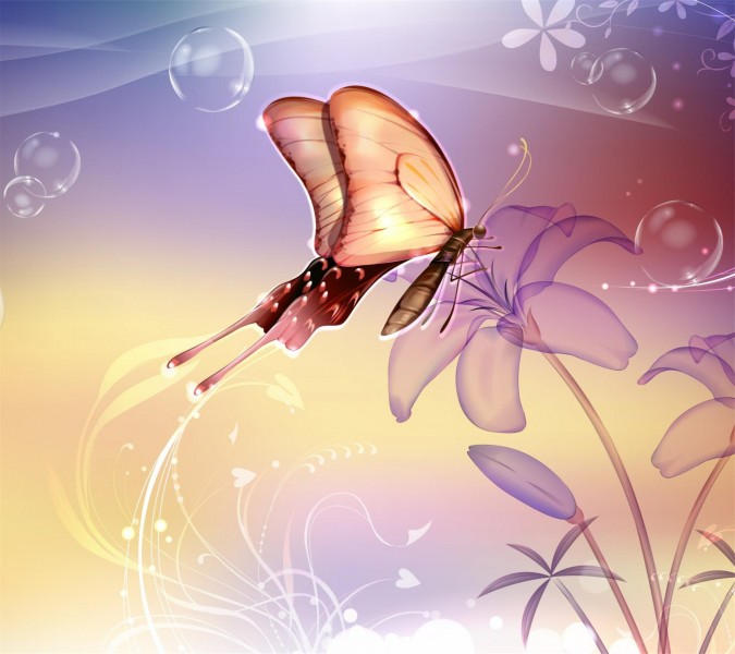 点击大图看下一张：美丽的蝴蝶图片